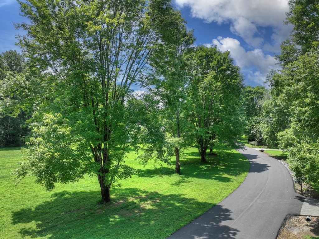 Lot 10 Cartecay River Run