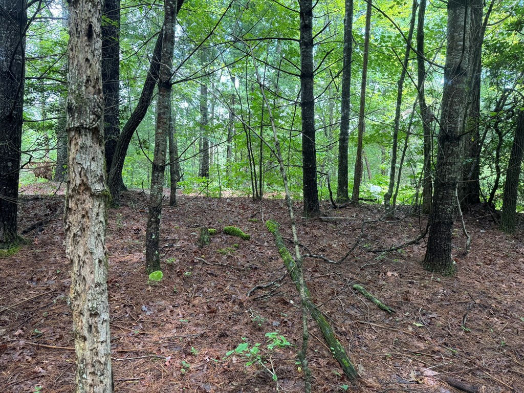 00 Right Field Drive