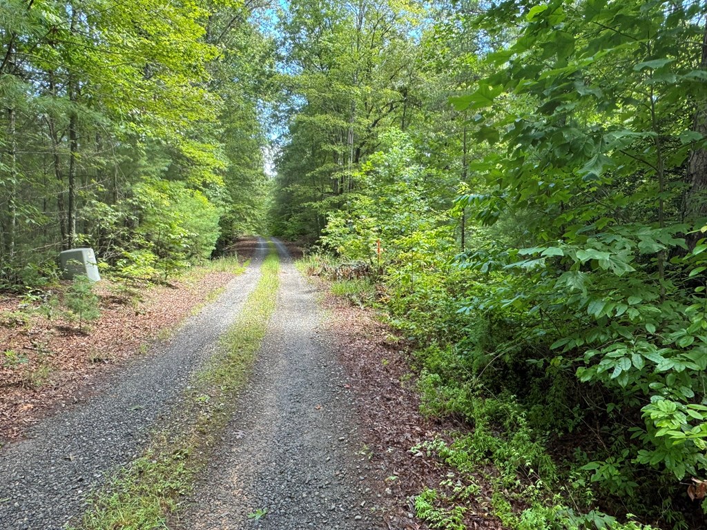 00 Right Field Drive