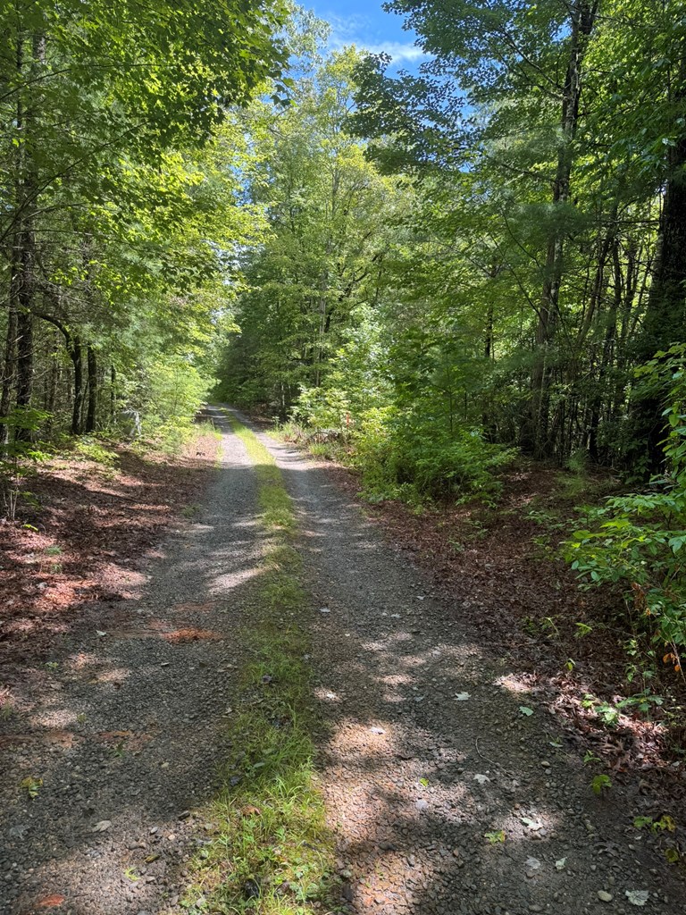 00 Right Field Drive