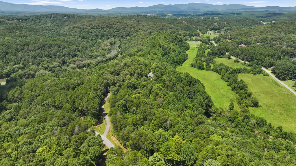 LOT 41 Tomahawk Lane