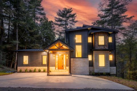 27 Riverview Lane Cherry Log GA 30522