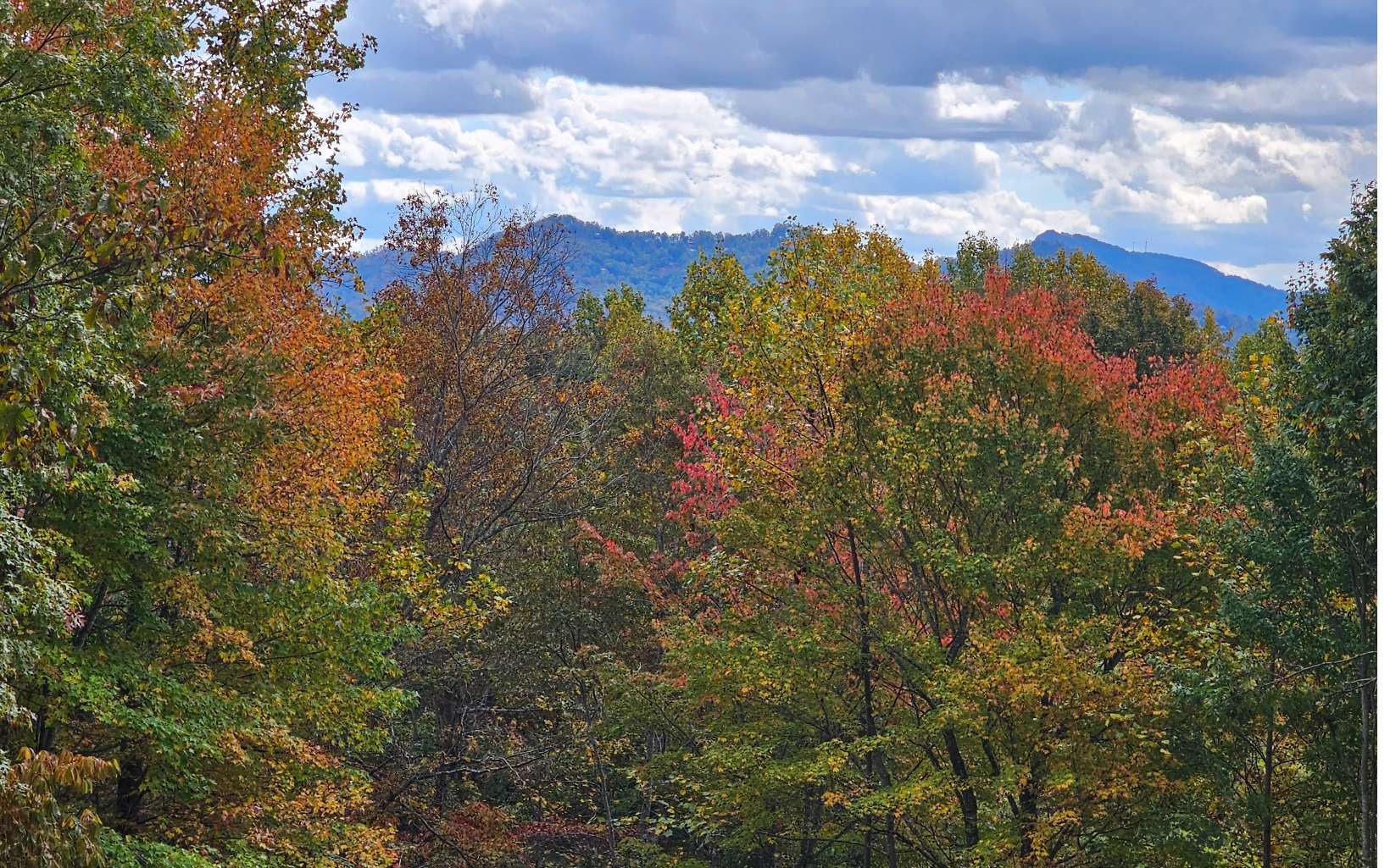9A Chatuge Woods