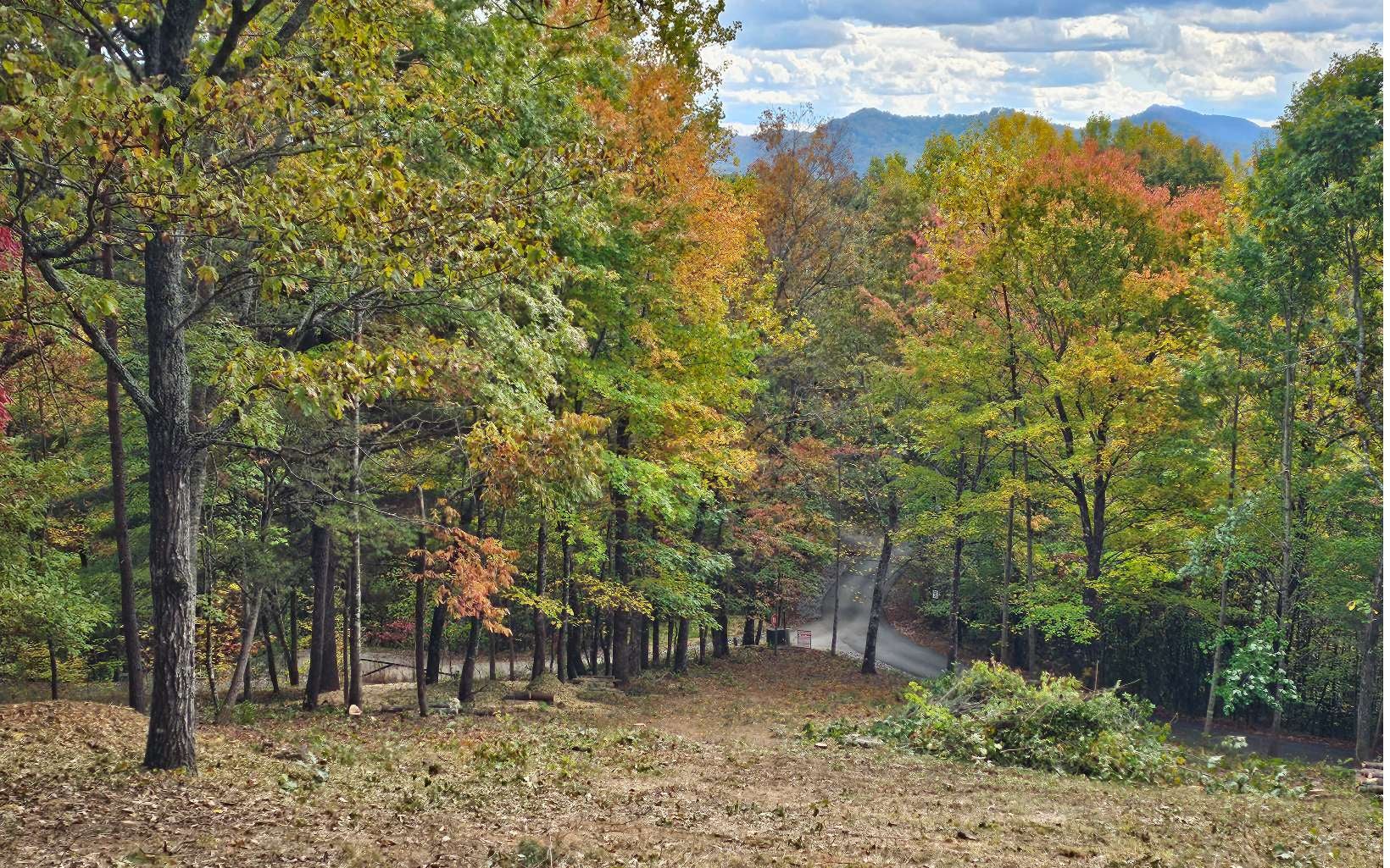 9A Chatuge Woods