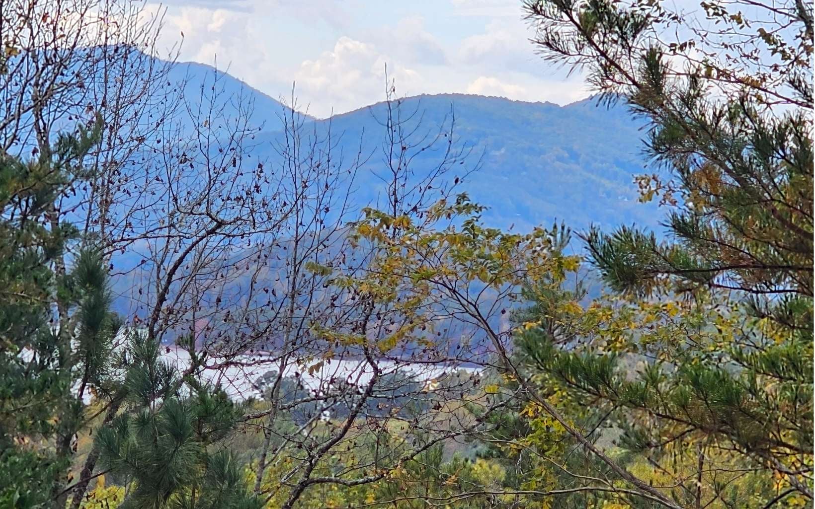 9A Chatuge Woods