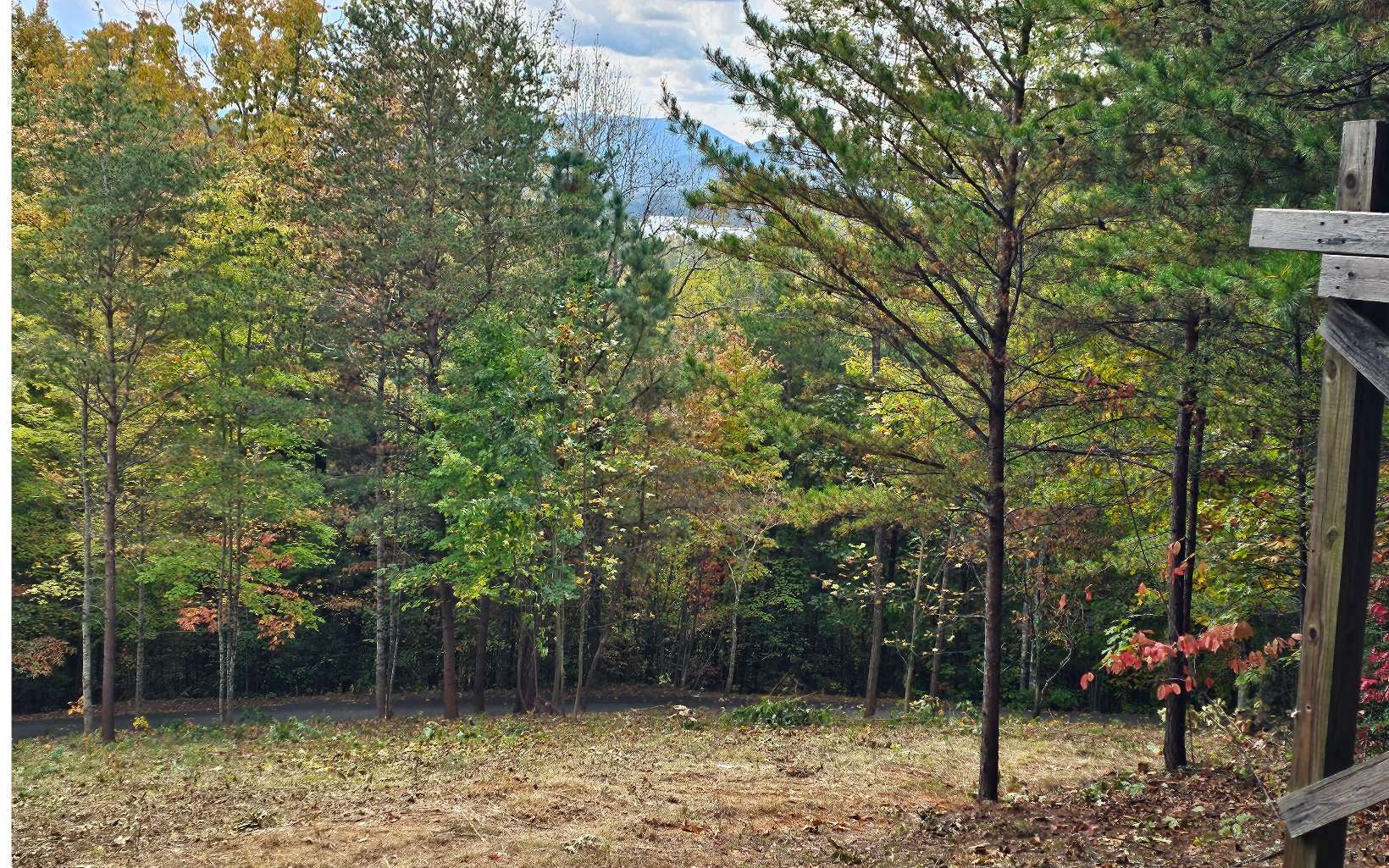 9A Chatuge Woods