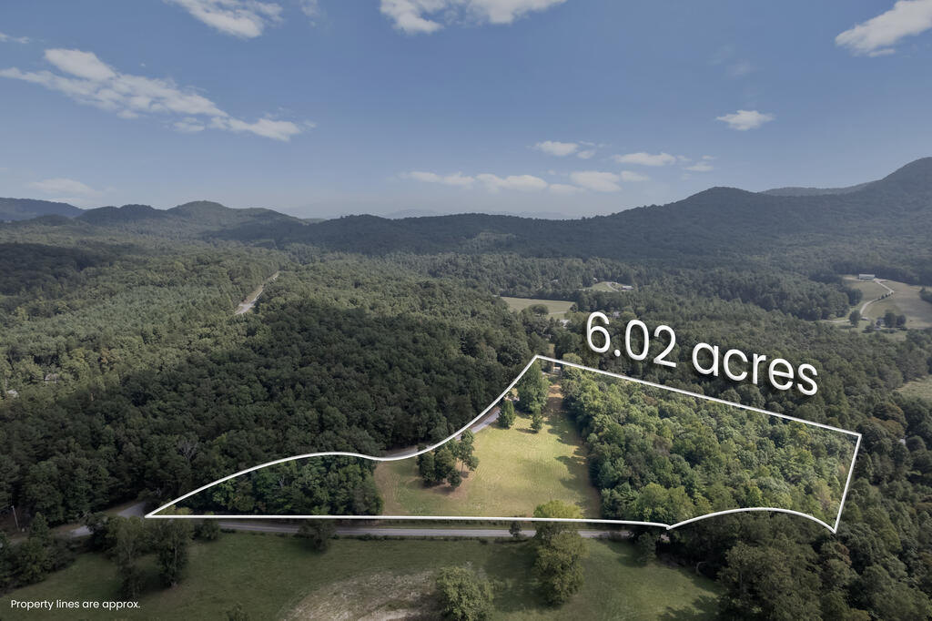 00 Ivylog Gap Rd