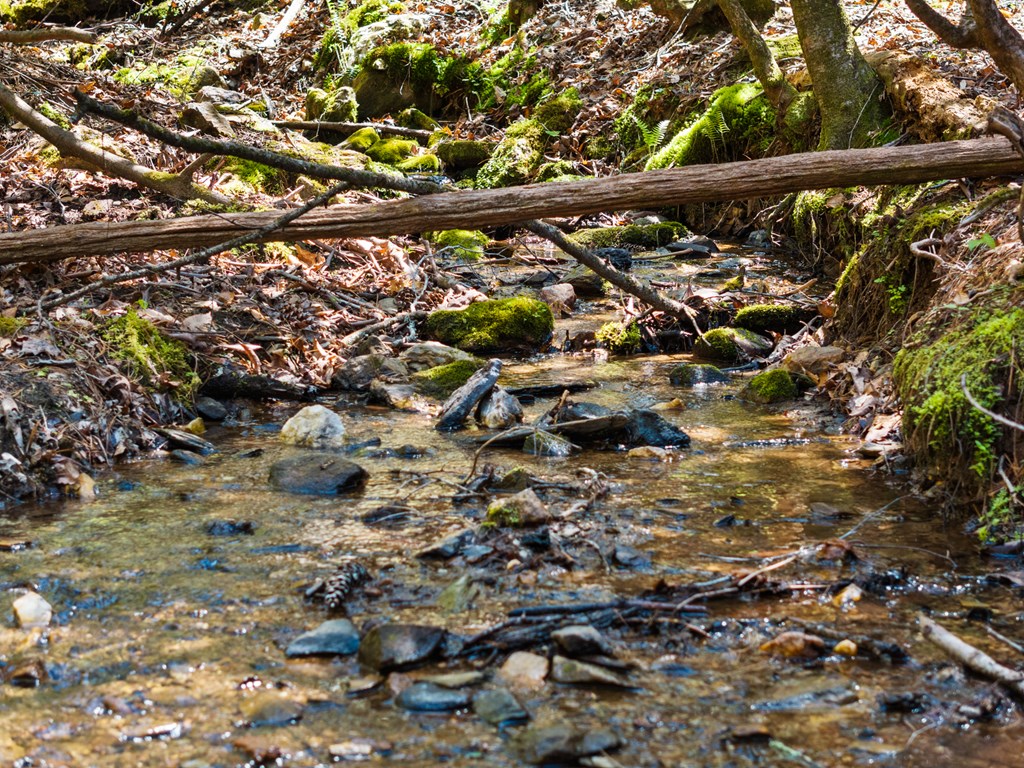 487 Walkabout Creek Road