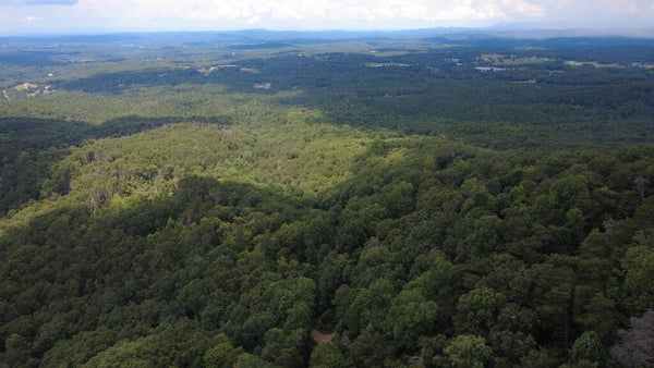 00 FIRETOWER ROAD, JASPER, GA 30143 - Image af7f13d5b3ea45084e7b38d28ea356ba/287349889