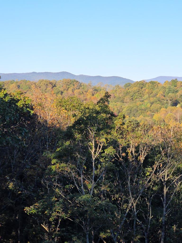 356 Mountain Ridge Drive