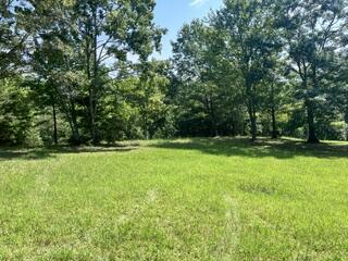 lot 2 Pondview Lane