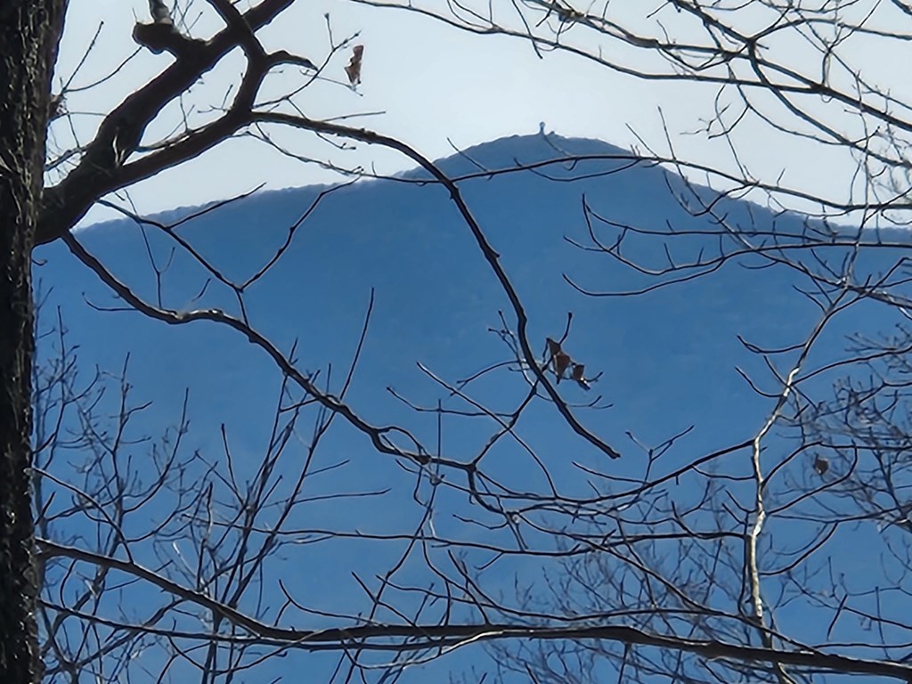 #28 The Overlook At Young Harris