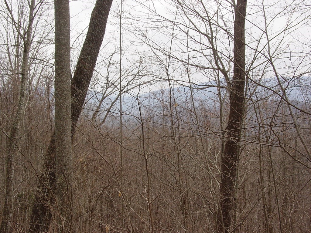 #28 The Overlook At Young Harris