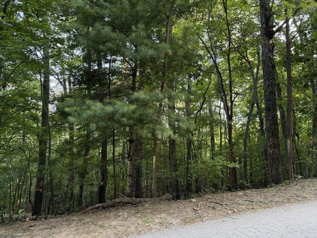 Lot 46 Fox Run Drive