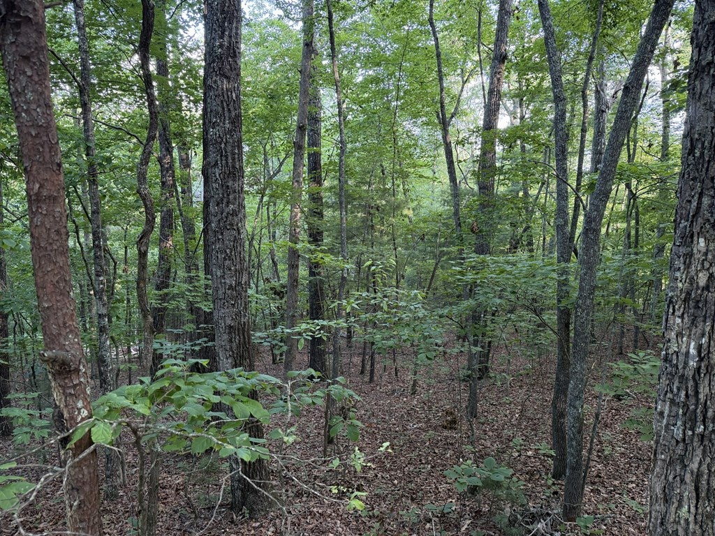 Lot 46 Fox Run Drive
