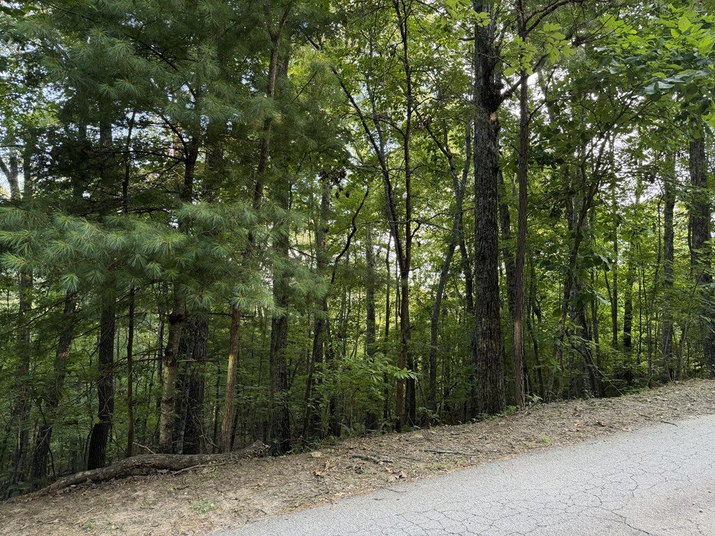 Lot 46 Fox Run Drive