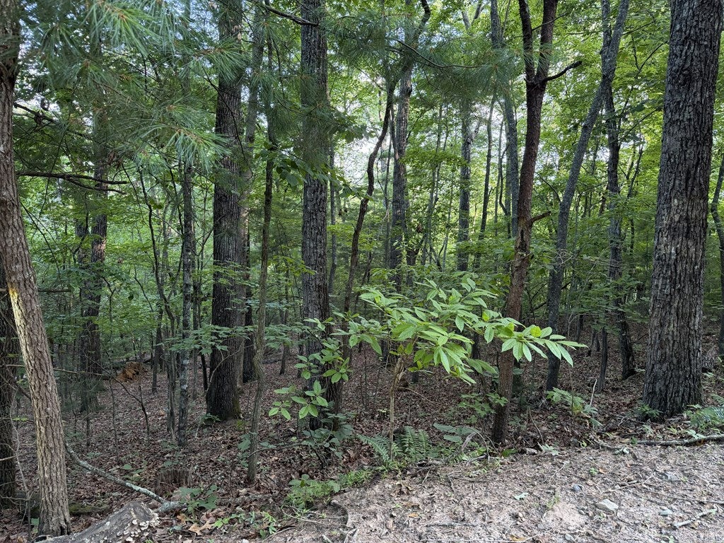 Lot 46 Fox Run Drive