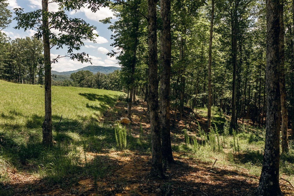 Lot 133 Ridges Of Blue Ridge