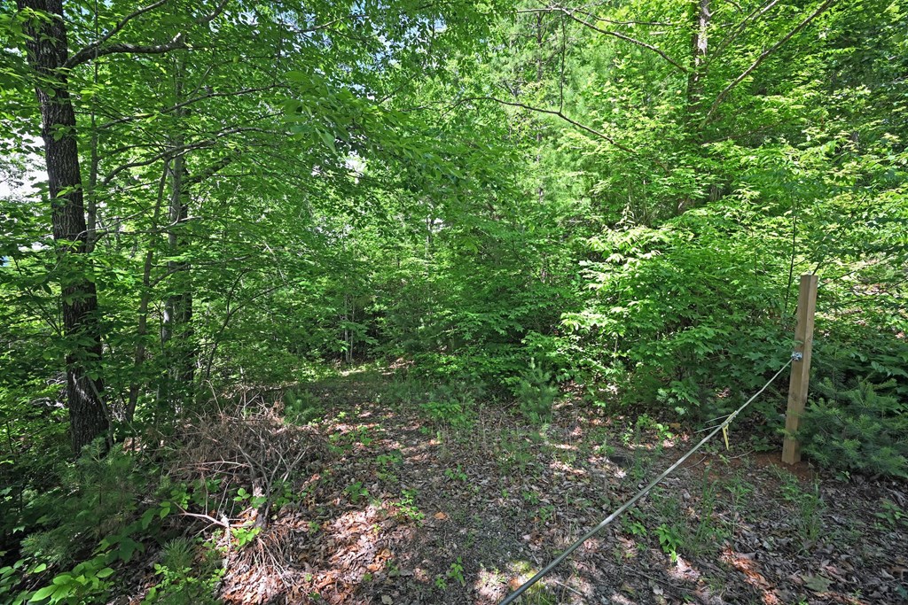 Lot 3 The Ridges