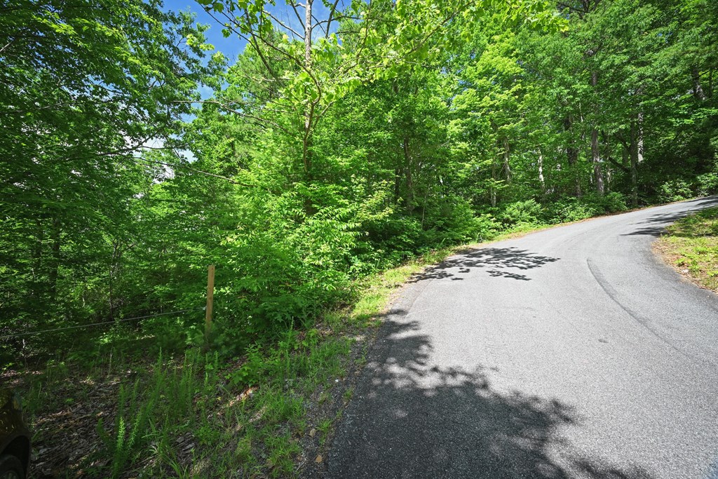 Lot 3 The Ridges