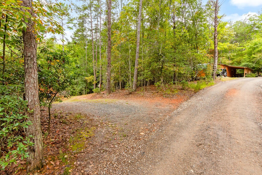 215 Quail Drive