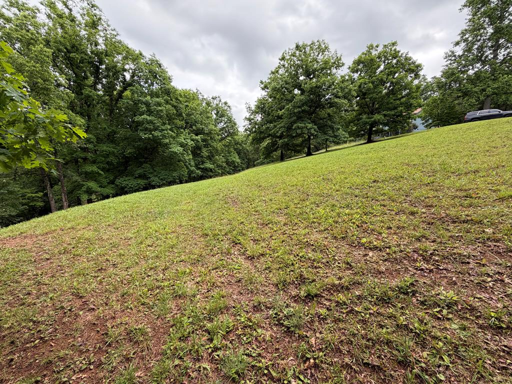 Lot 17 Drake Ridge Lane