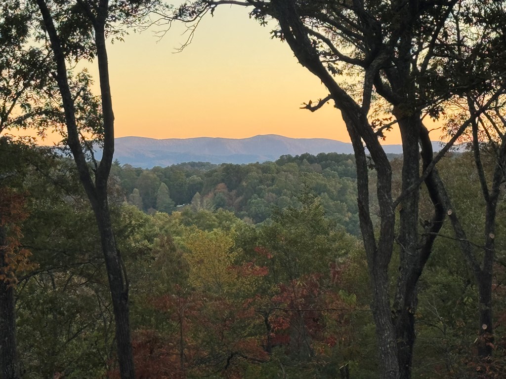 195 Wolf Creek Mountain Road