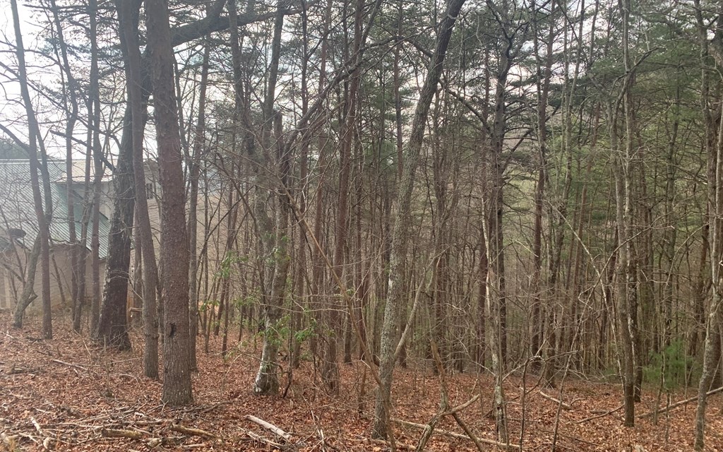 LOT20 Wolf Ridge Lane