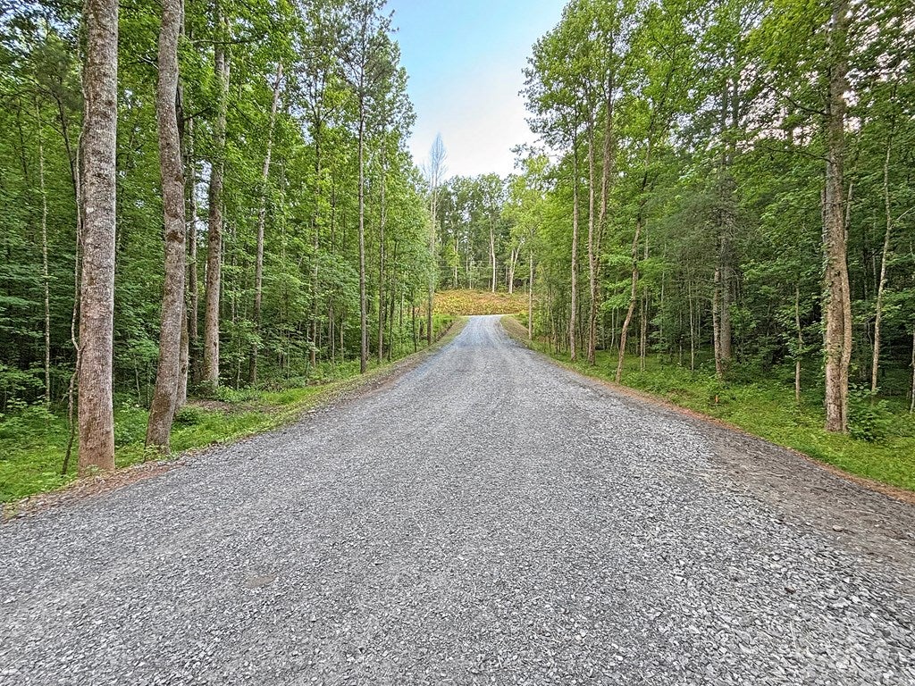 Lot 20 Mt. Springer Road