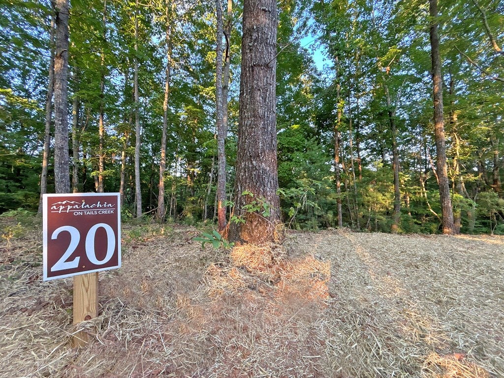Lot 20 Mt. Springer Road