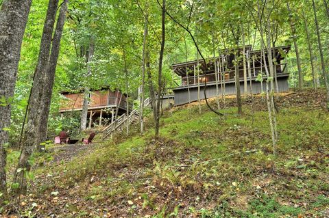 163 Chestnut Ridge Trail Blue Ridge GA 30513
