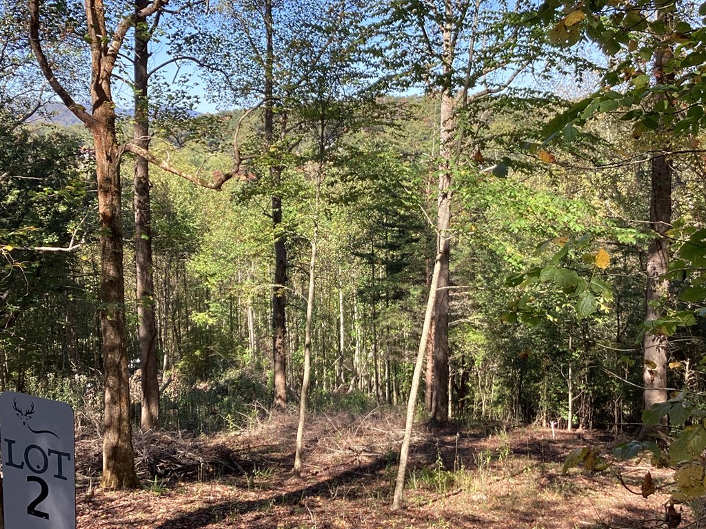 Lot 2 Buckhead Hills