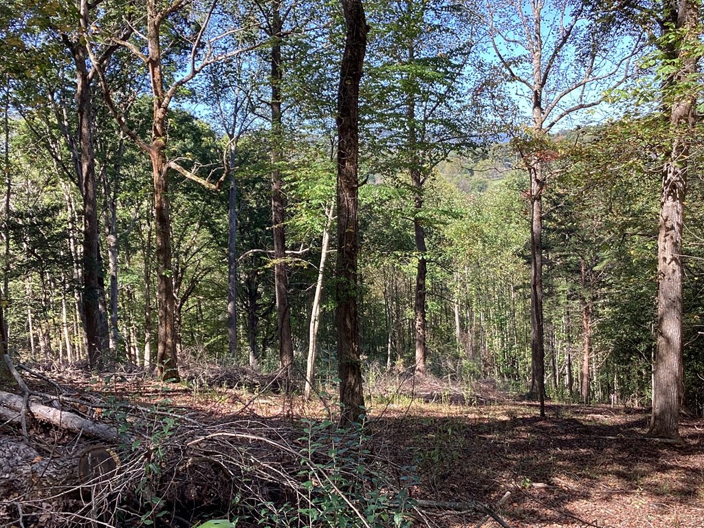 Lot 2 Buckhead Hills