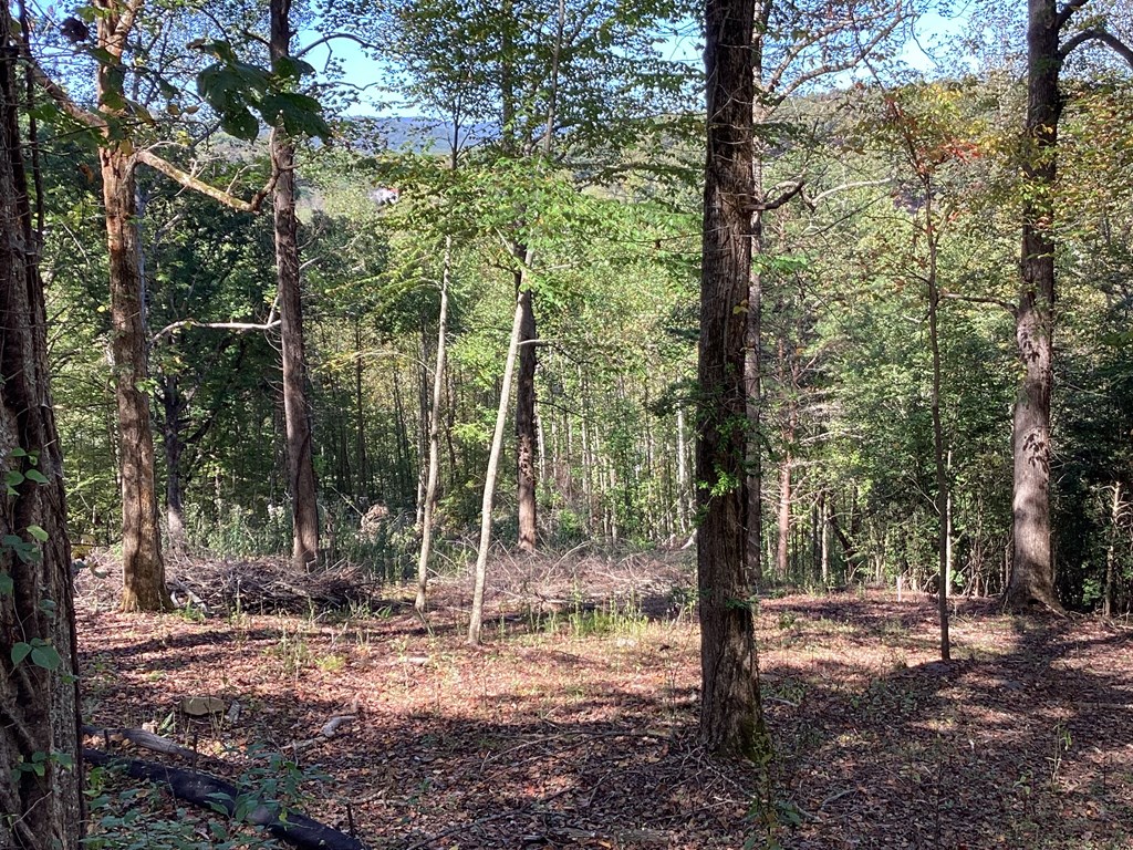 Lot 2 Buckhead Hills