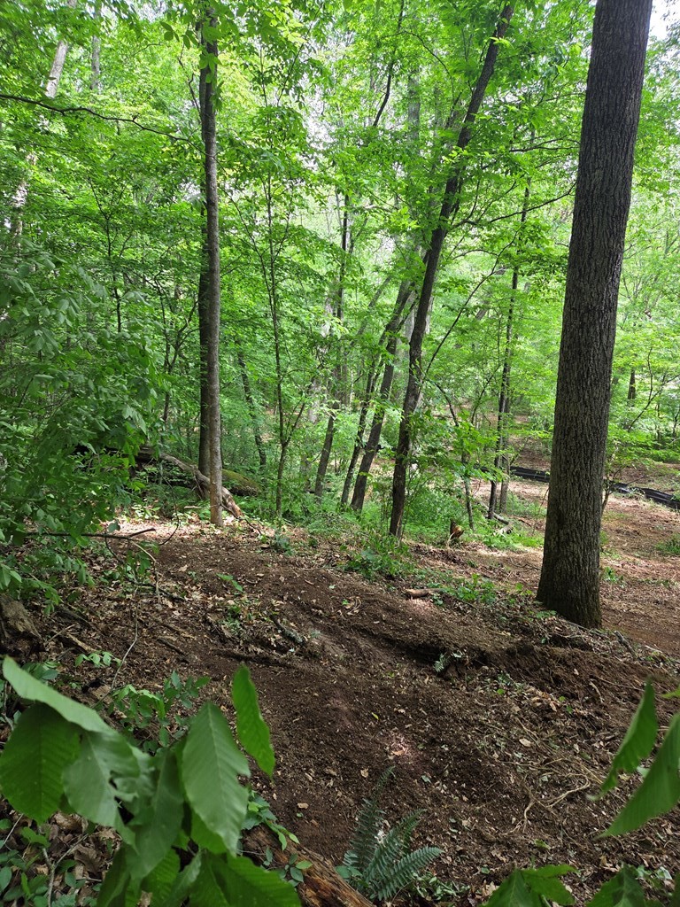 Lot 4 Ch Colwell Drive