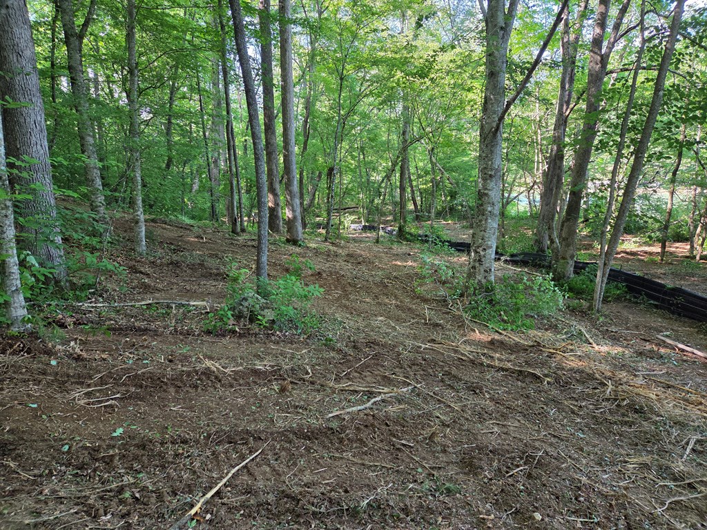 Lot 4 Ch Colwell Drive