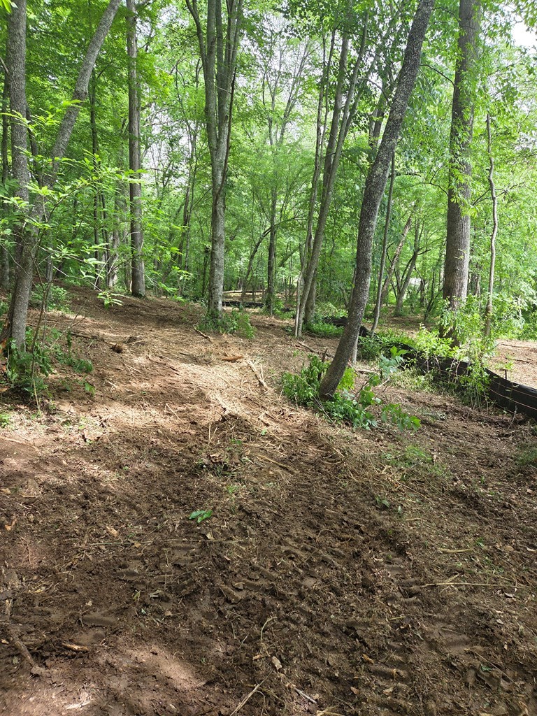 Lot 4 Ch Colwell Drive