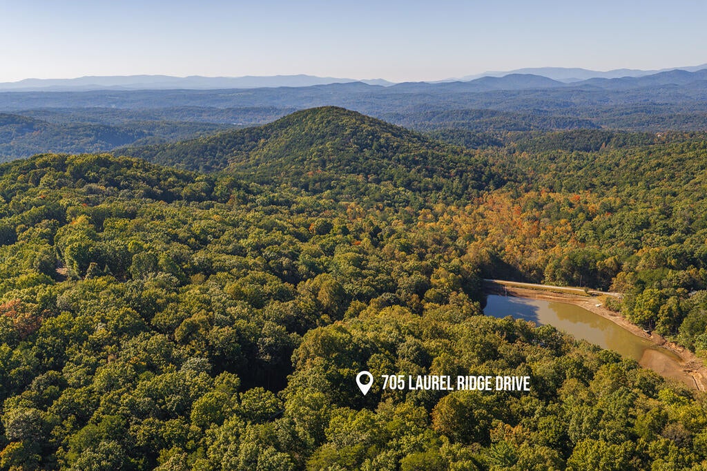705 Laurel Ridge Drive