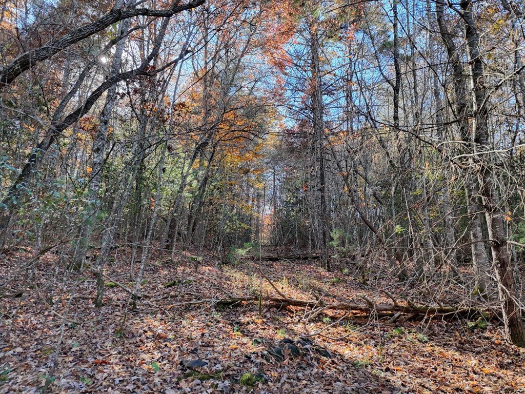 2.28 ac Midway Creek Road