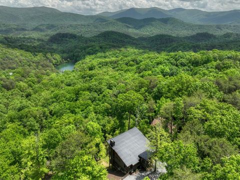 A home in Blue Ridge