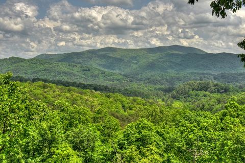 A home in Blue Ridge