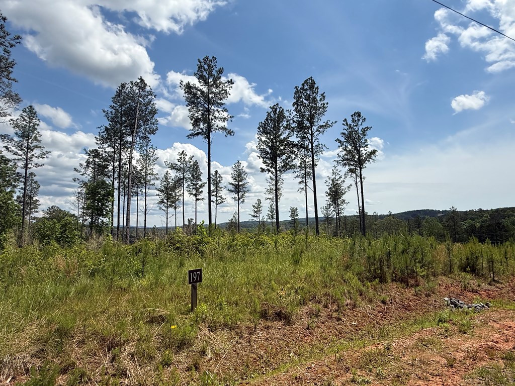 197 Blalock Mountain Court