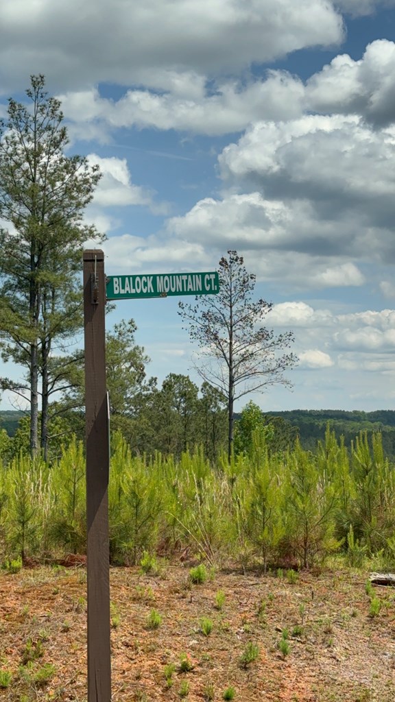 197 Blalock Mountain Court