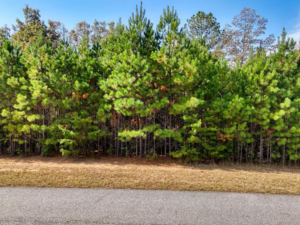 lot 43 Water Oak Lane