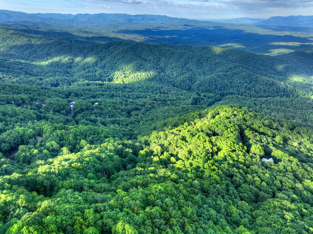 65 Utana Bluff Trails