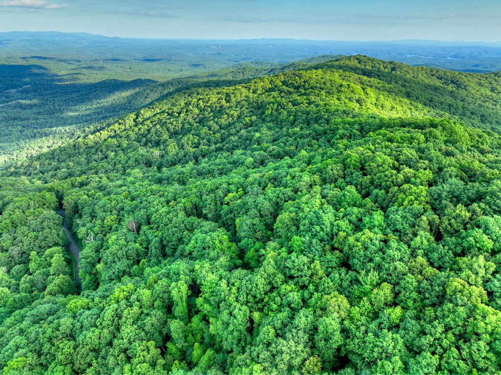 65 Utana Bluff Trails