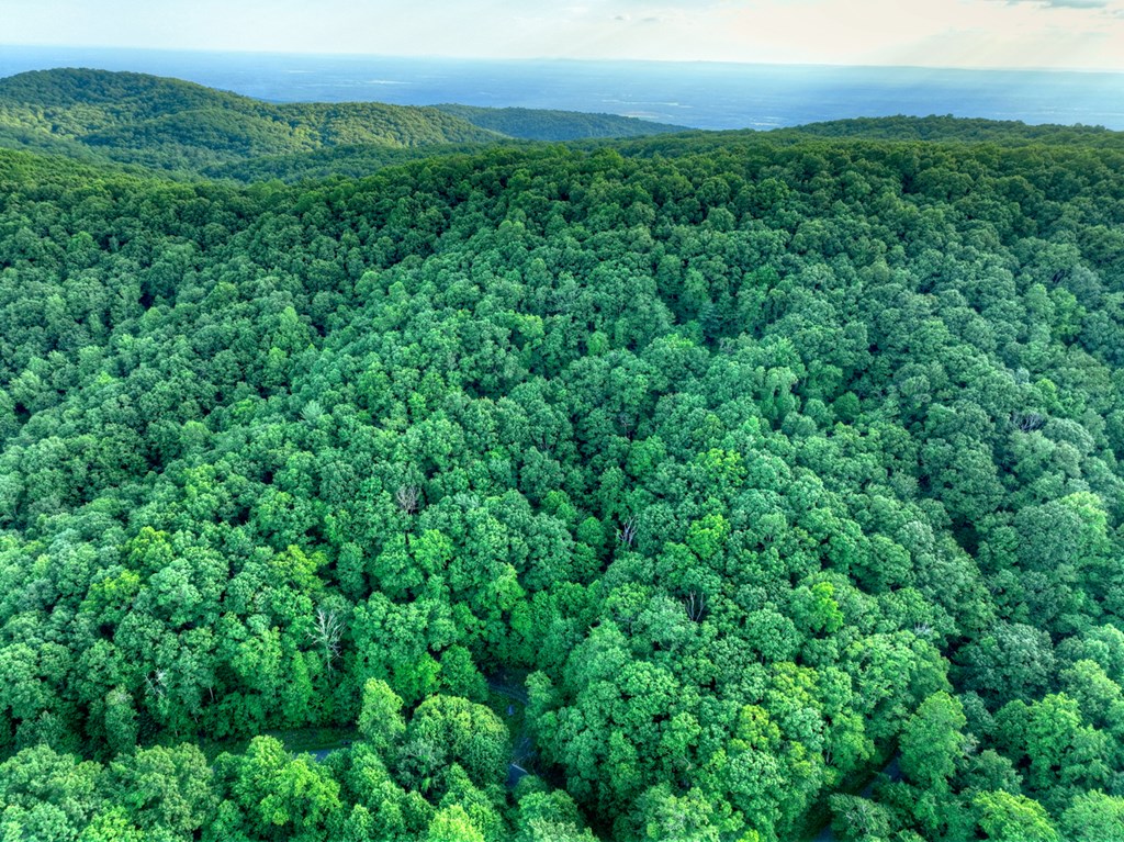 65 Utana Bluff Trails
