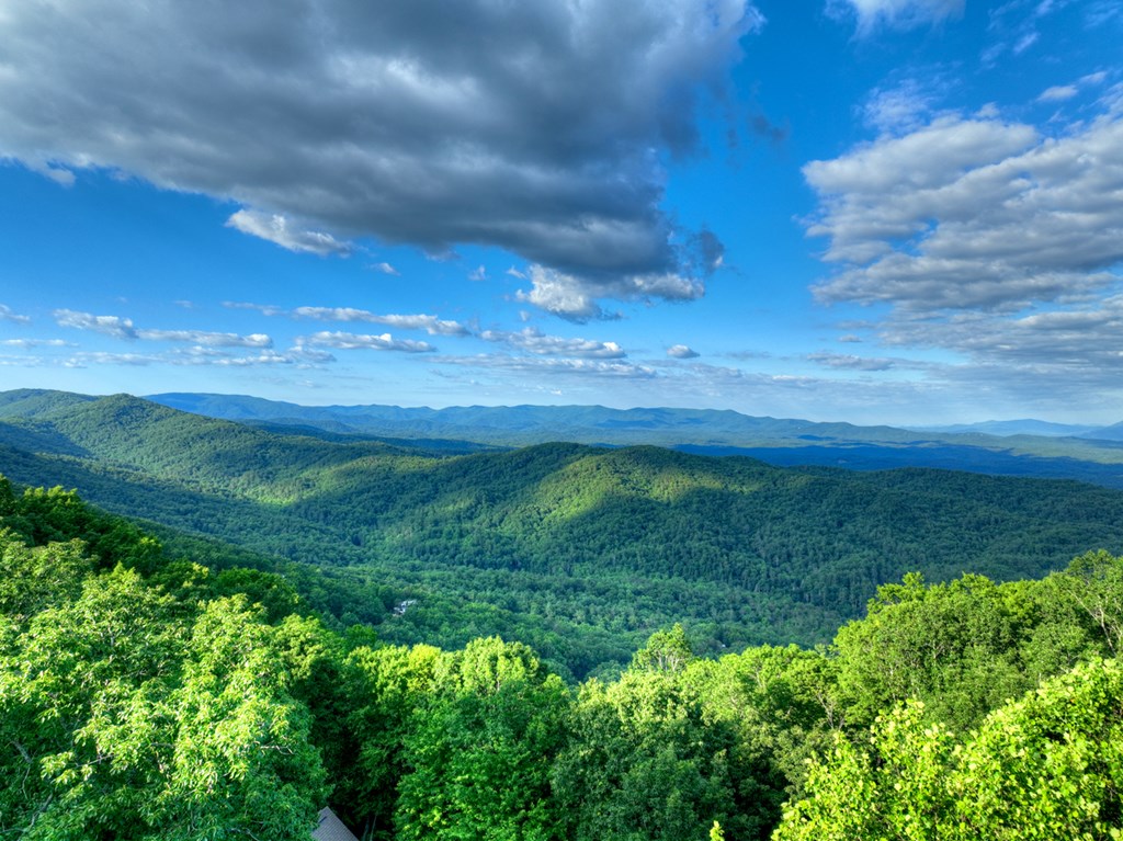65 Utana Bluff Trails