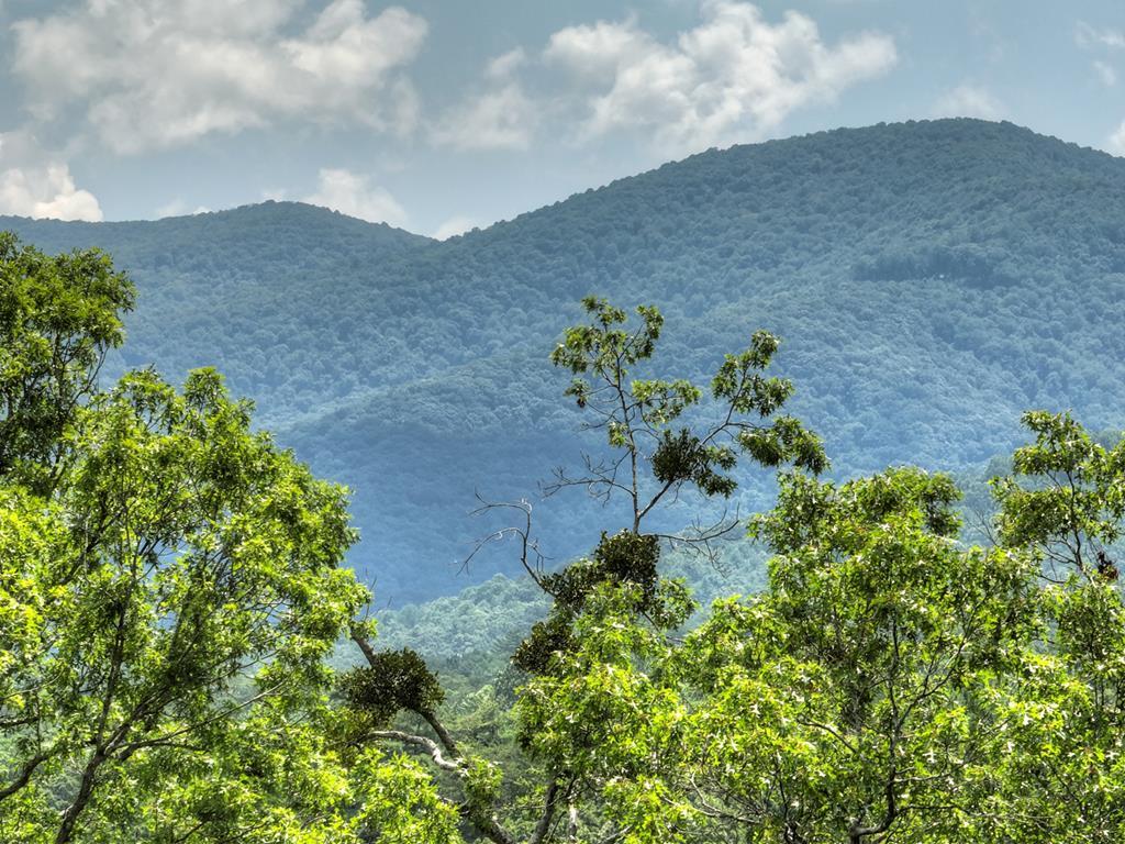 Lot 34 Greystone Trace