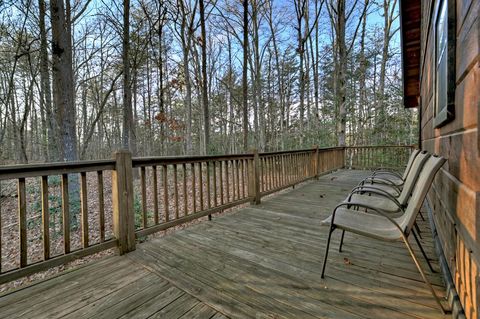 A home in Mineral Bluff